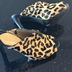 Gianni Bini High Heals